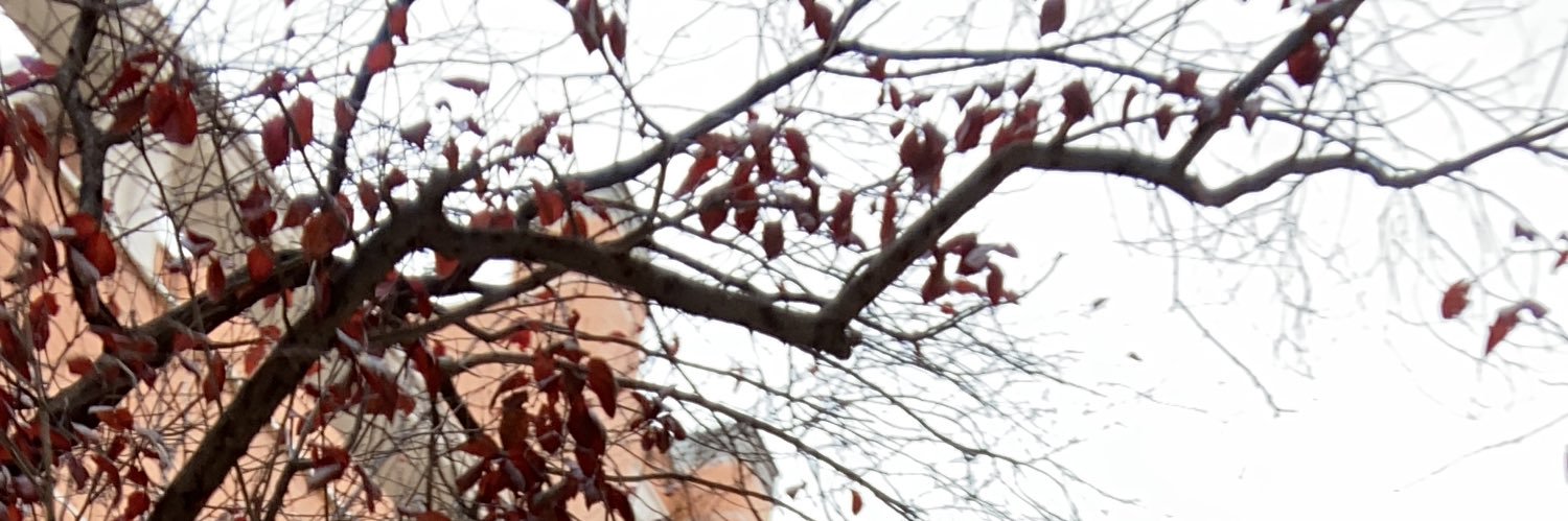 sergioocon's profile banner image