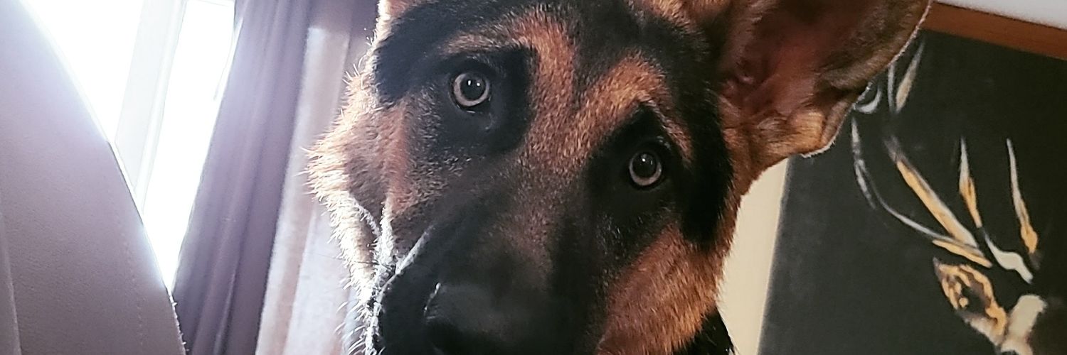 HWolber's profile banner image