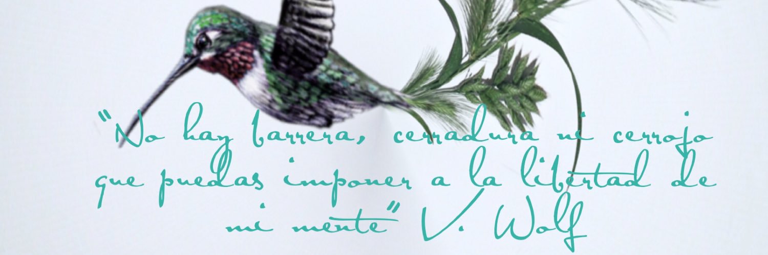 MamadeNinosSol's profile banner image