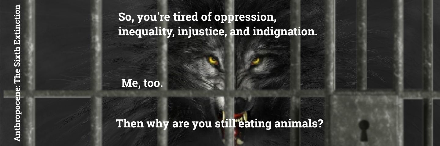 angrybeast banner