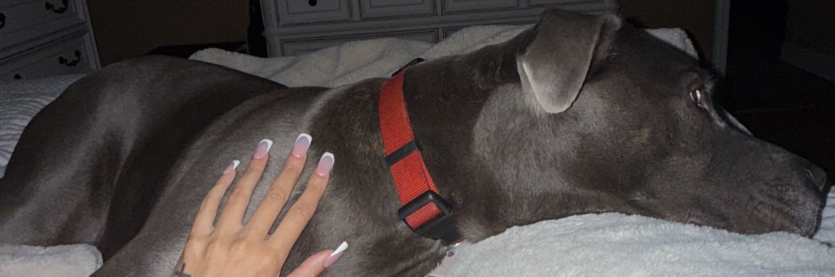 lexmartiin's profile banner image