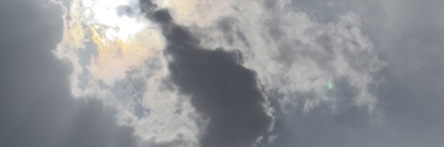 t3t_e's profile banner image