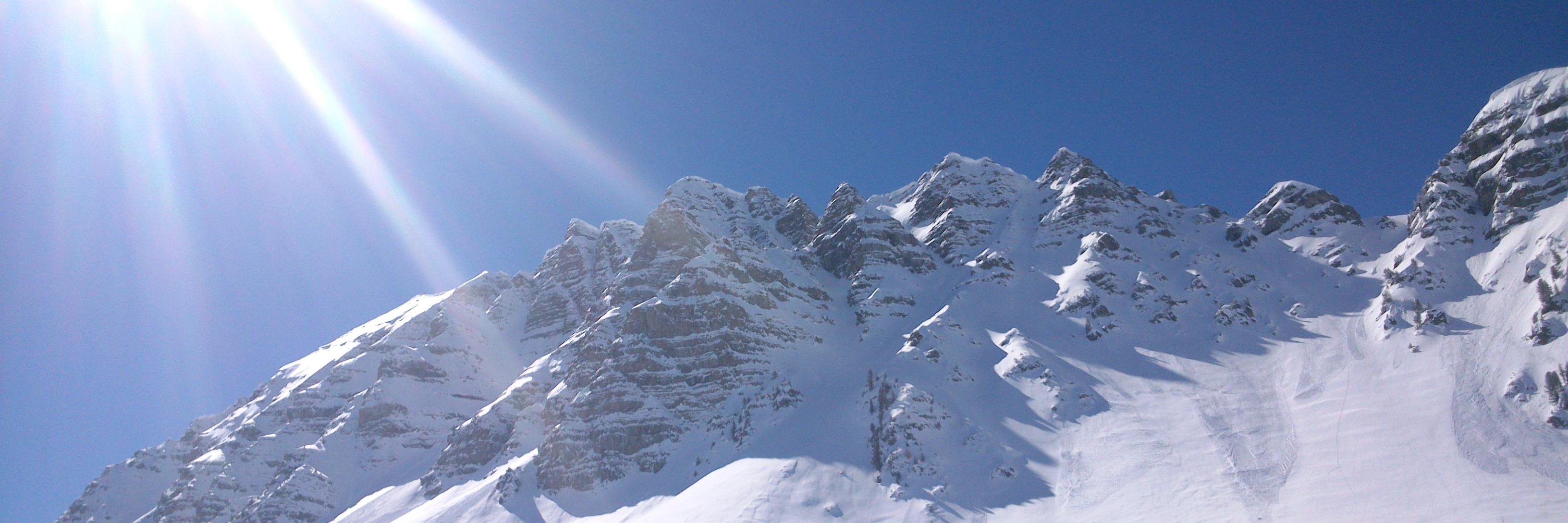 mcgandon's profile banner image