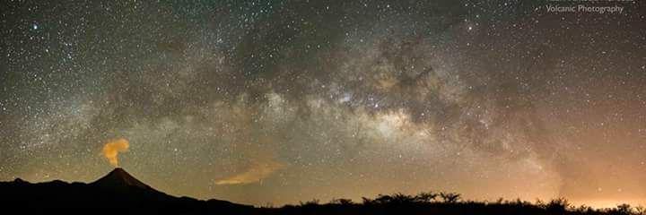 Alex M. banner