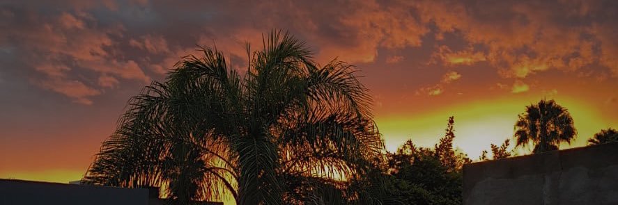 belenticac's profile banner image