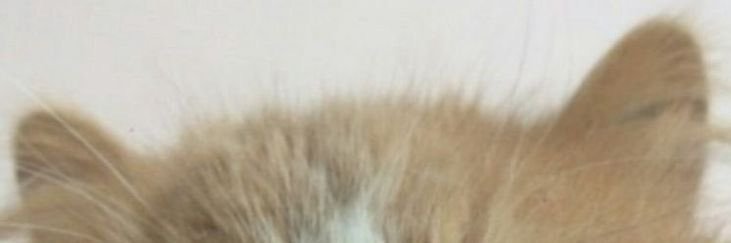 chavelabc's profile banner image