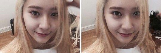 fxjunqstals's profile banner image