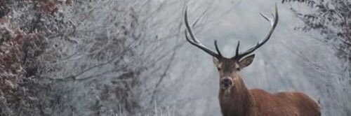 xxheartbeats's profile banner image