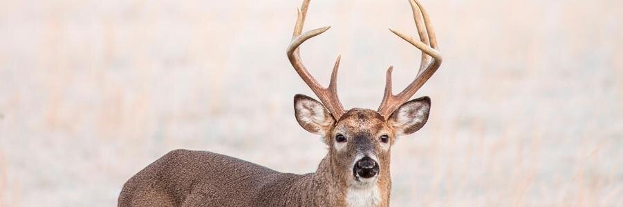 HuntingWorks4WI's profile banner image