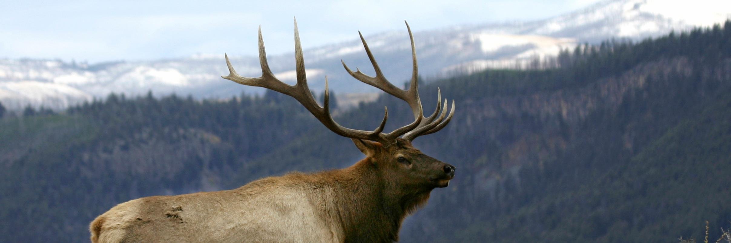 HuntingWorks4CO's profile banner image