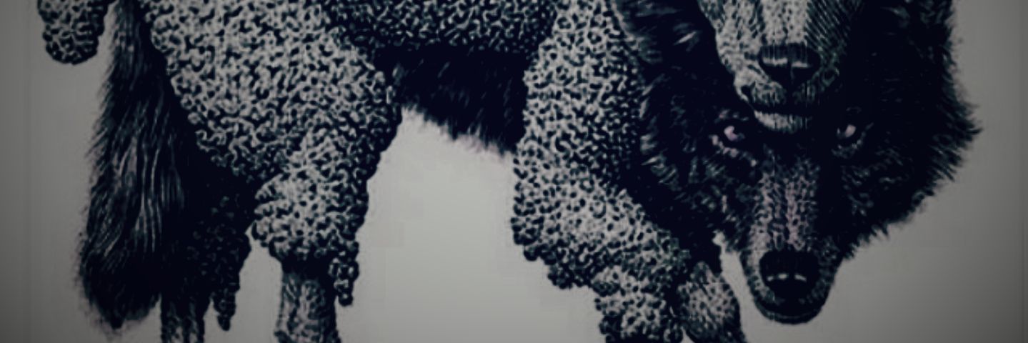 CallMeMister215's profile banner image