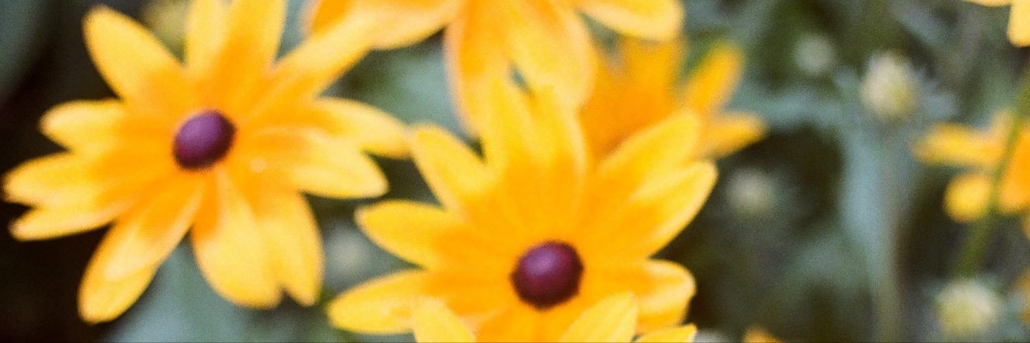 antthedeer's profile banner image