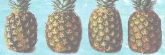 Alamma80's profile banner image