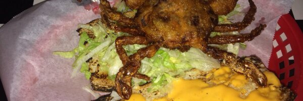 devonsoft Profile Banner