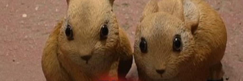 ChoppingBunnies's profile banner image