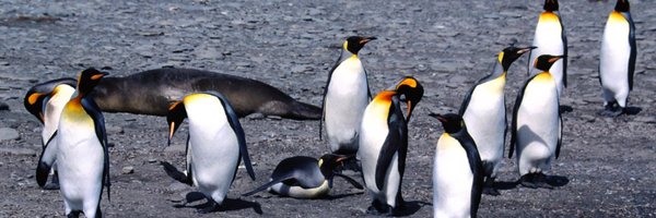 TheJeffDodge Profile Banner