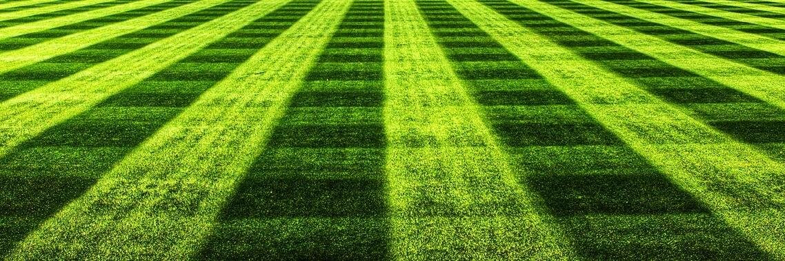 Eastern Athletics banner