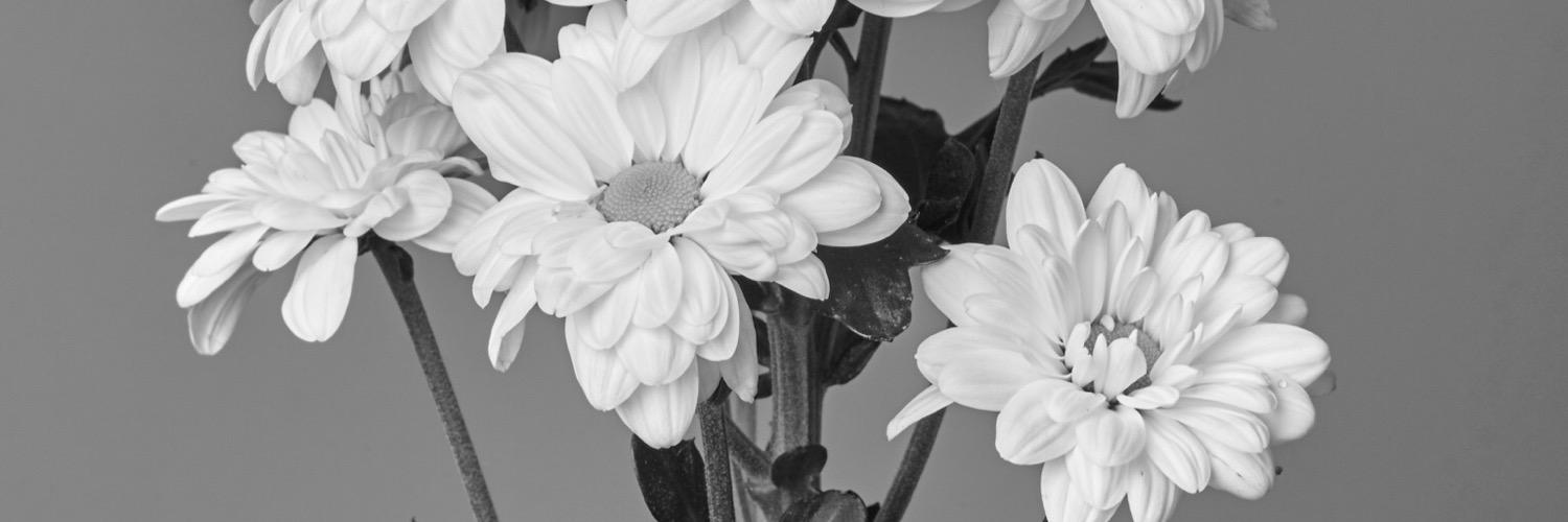 HIGHTANDIRONS's profile banner image