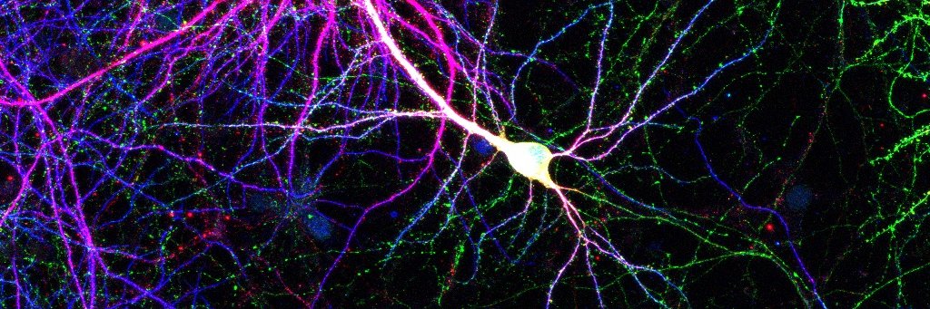 PosgradoFarmaUAM banner