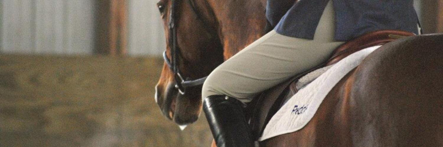 wmuequestrian's profile banner image