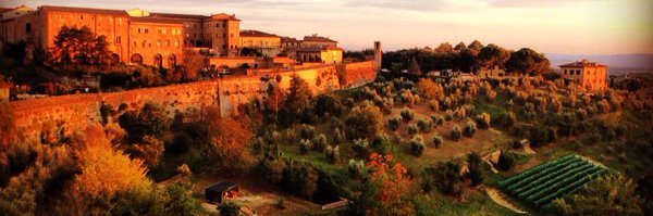 NapaFoodGal Profile Banner