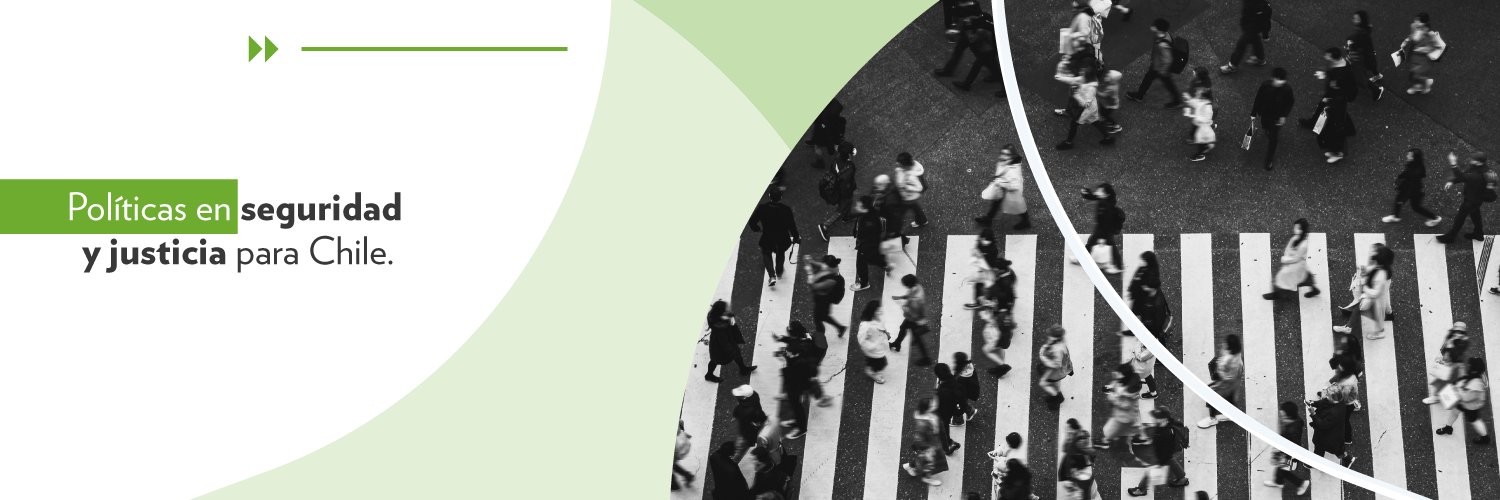 Fundación Paz Ciudadana banner