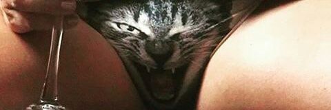 SebasLeon31's profile banner image