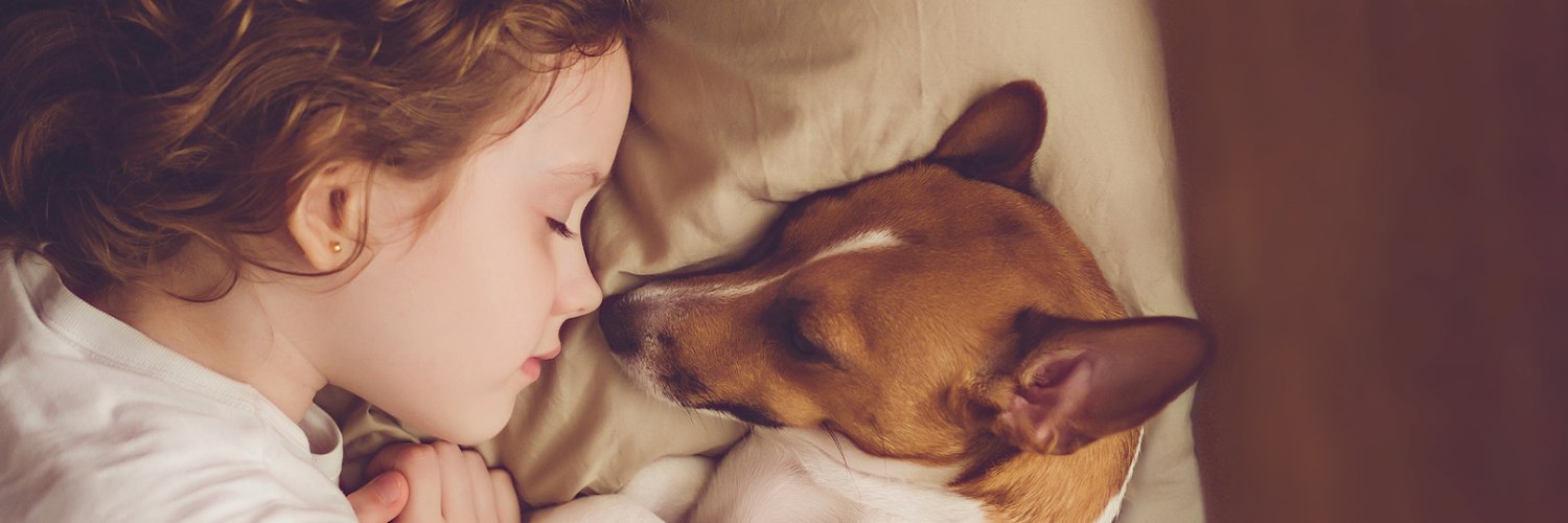 KnowBetterPet's profile banner image