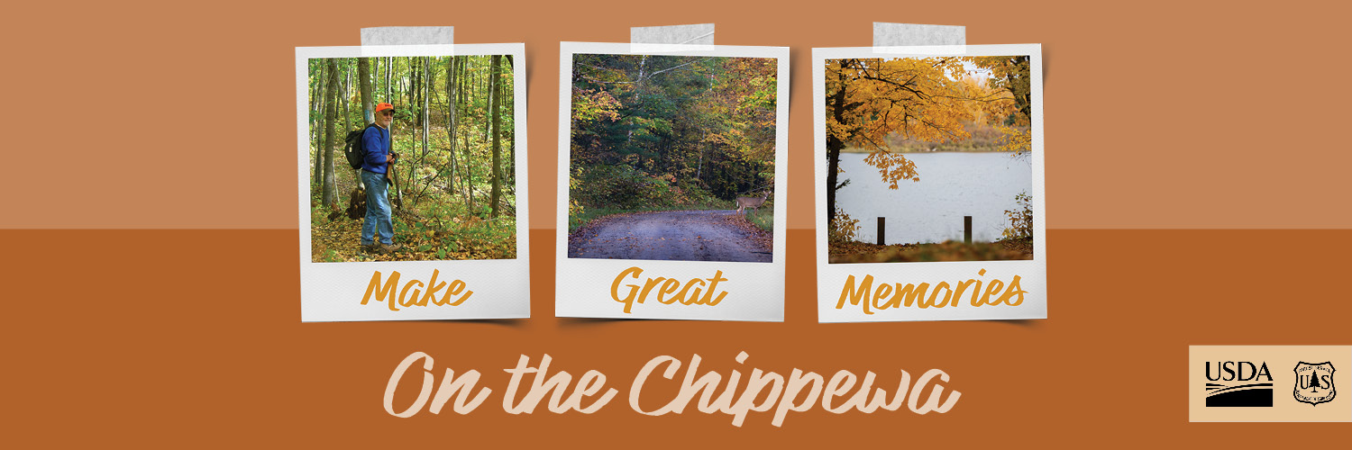 Chippewa National Forest banner