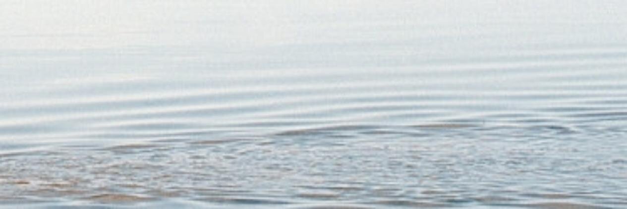 motidaskal's profile banner image