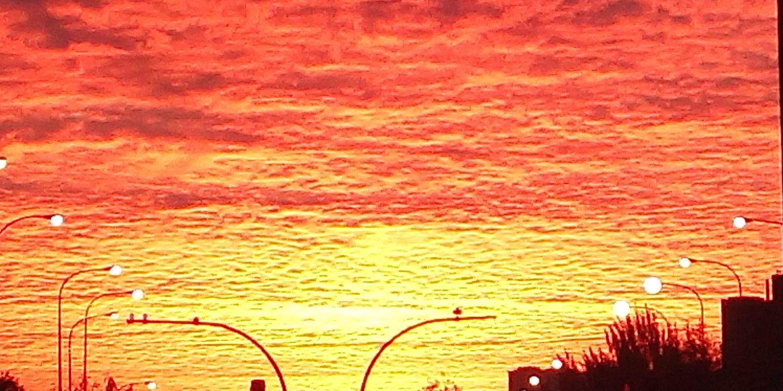 bego_b's profile banner image