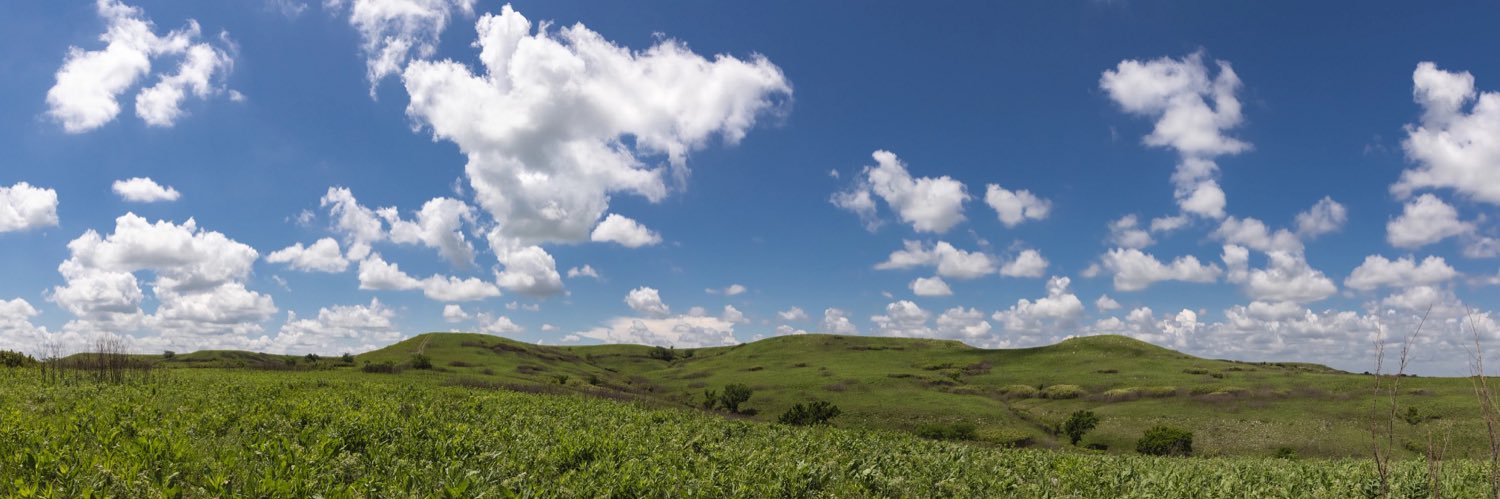 Erin C. Seybold banner