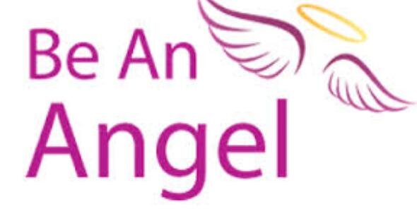 TEAM FRESHERS! banner