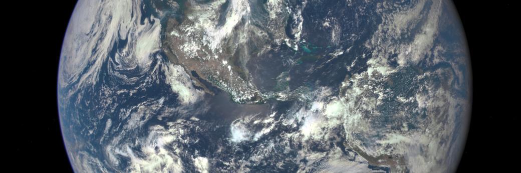 jack williams banner