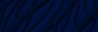 crepusculona banner