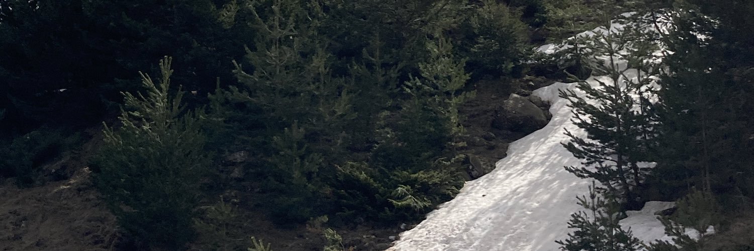 sssanilas's profile banner image