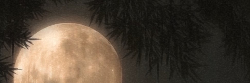 bobblebuns's profile banner image