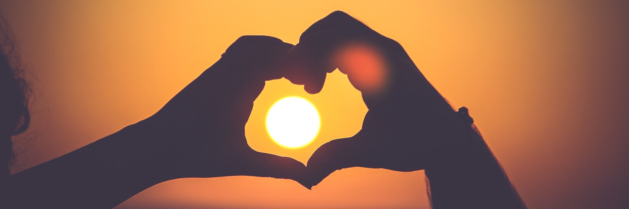 arpsolar's profile banner image
