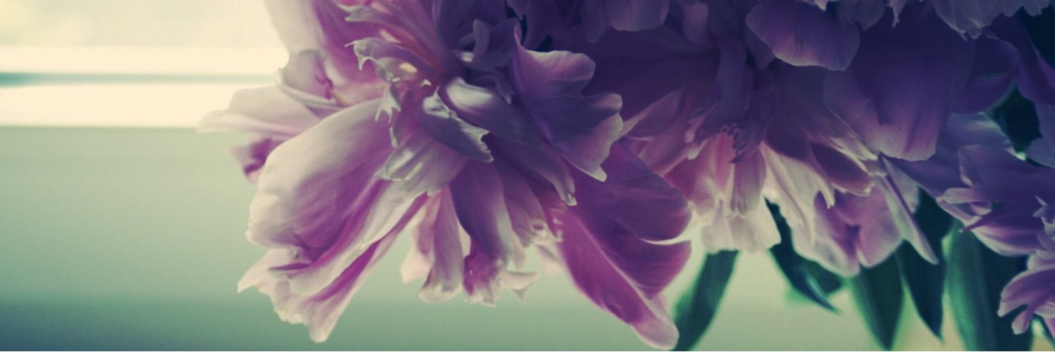 Olexandra33's profile banner image