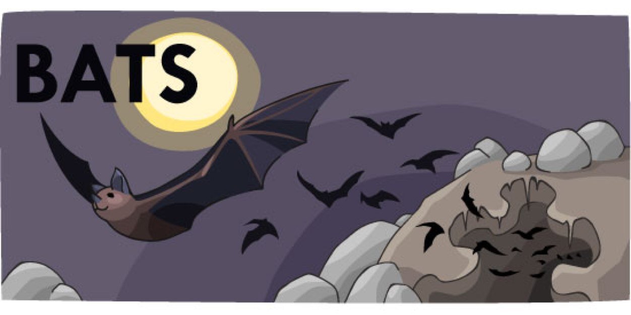 Albion Bats banner