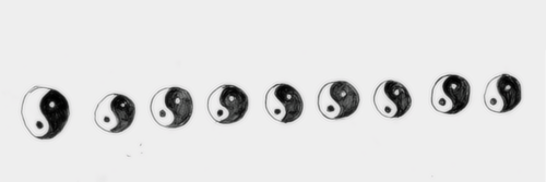erikaa__m's profile banner image