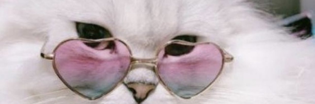 gema_b00's profile banner image