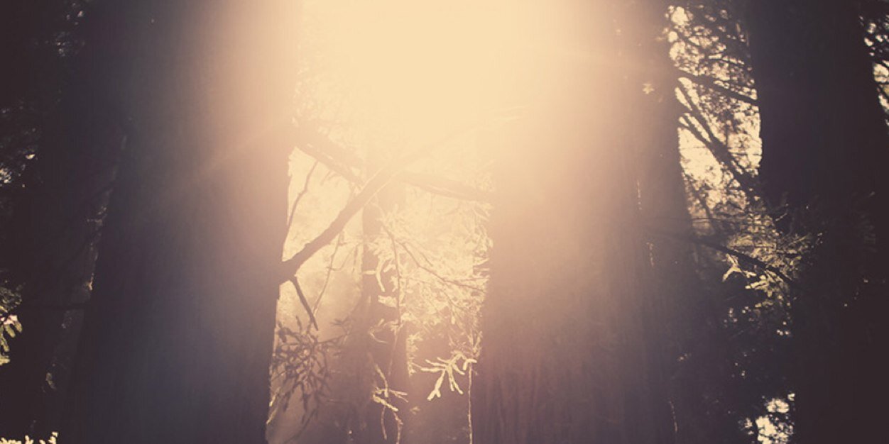 sequoiasound's profile banner image
