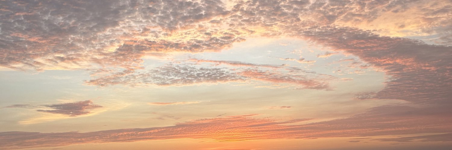 msAnxietyyy's profile banner image