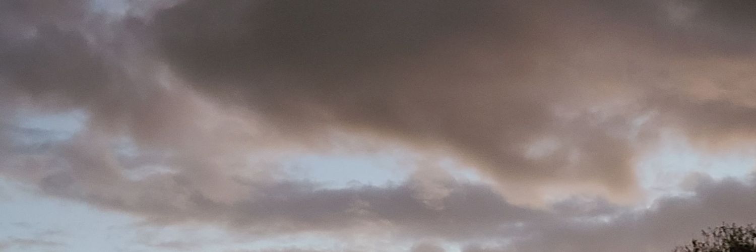 MBMedley's profile banner image