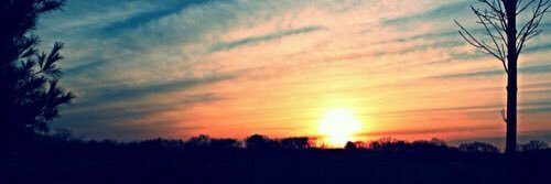 C_DePalma's profile banner image