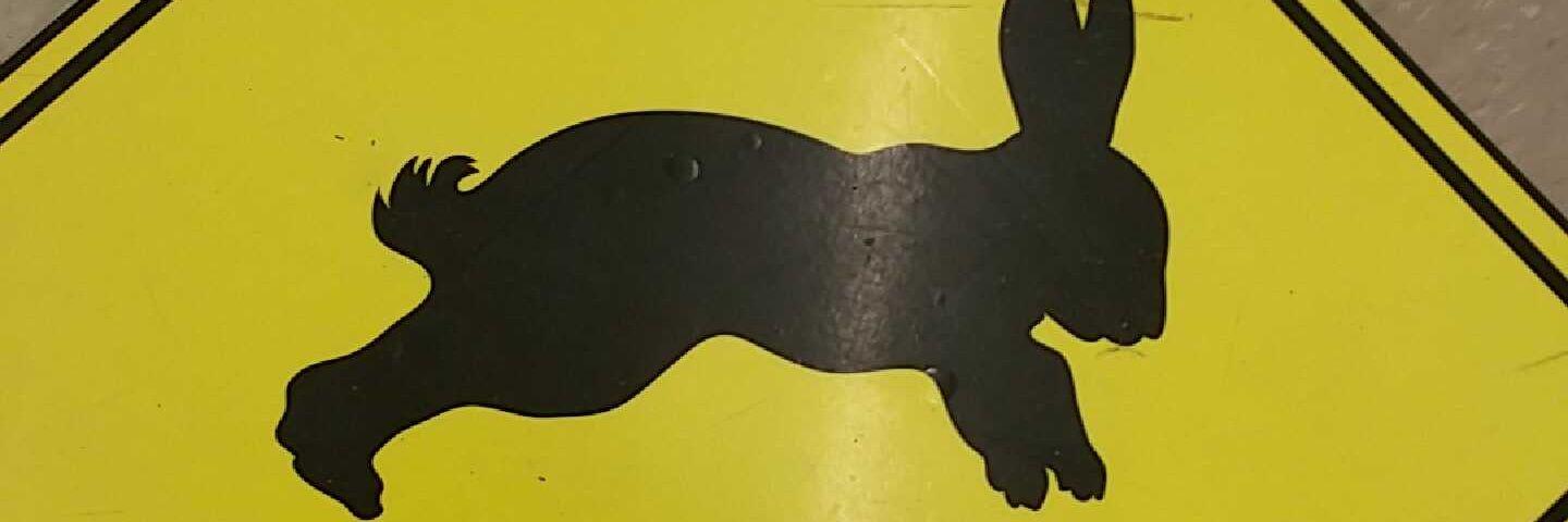 RIORIOMARS's profile banner image