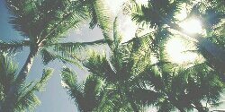 jessmstgdr's profile banner image