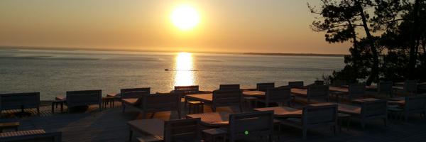 ThClion64 Profile Banner