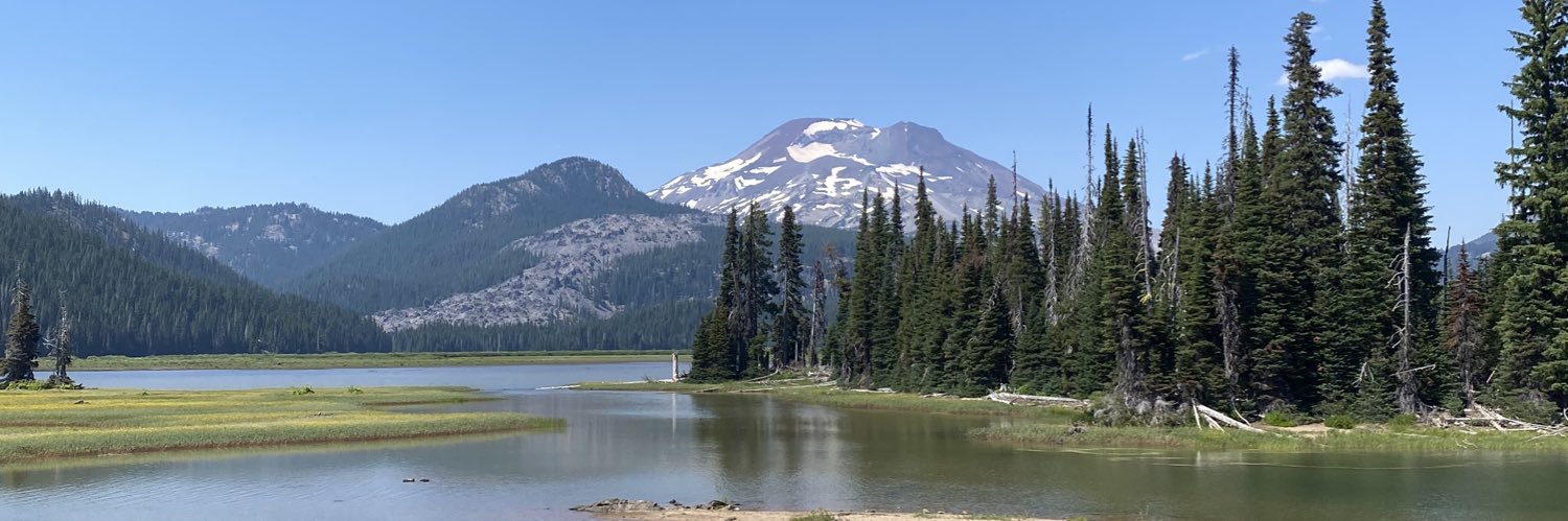 the new jan brady banner